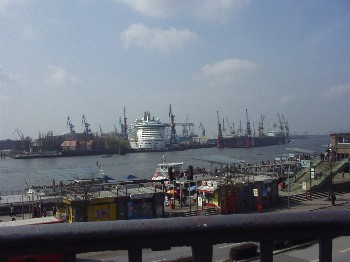 Freedom of the Seas in Dock Elbe 17